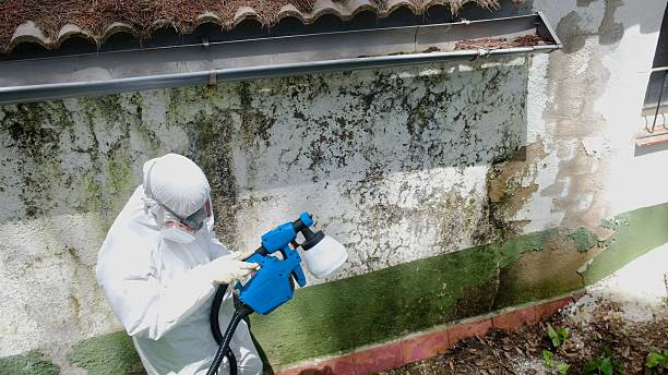 Trusted Commercial Mold Remediation service in McVeytown, PA - Cheap Mold Removal